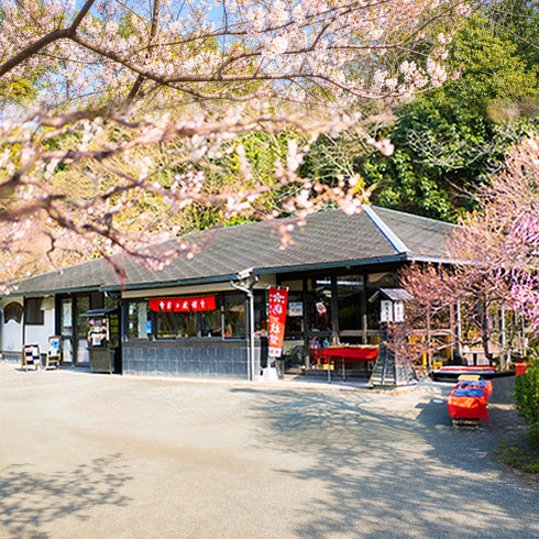 冷凍 梅ヶ枝餅 5個入り 商品画像5
