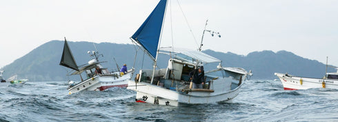 Sekiaji dried overnight