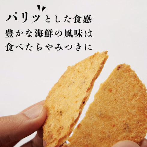 めんべい プレーン大