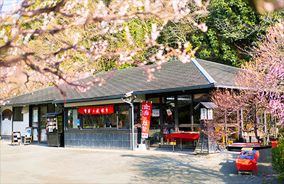 冷凍 梅ヶ枝餅 5個入り