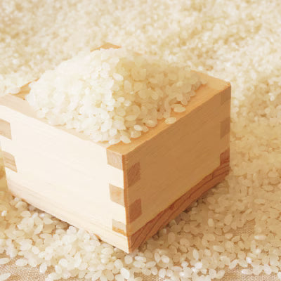 新米 ミルキークイーン 3㎏ 築上町産