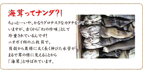 玄海漬 うみたけ粕漬